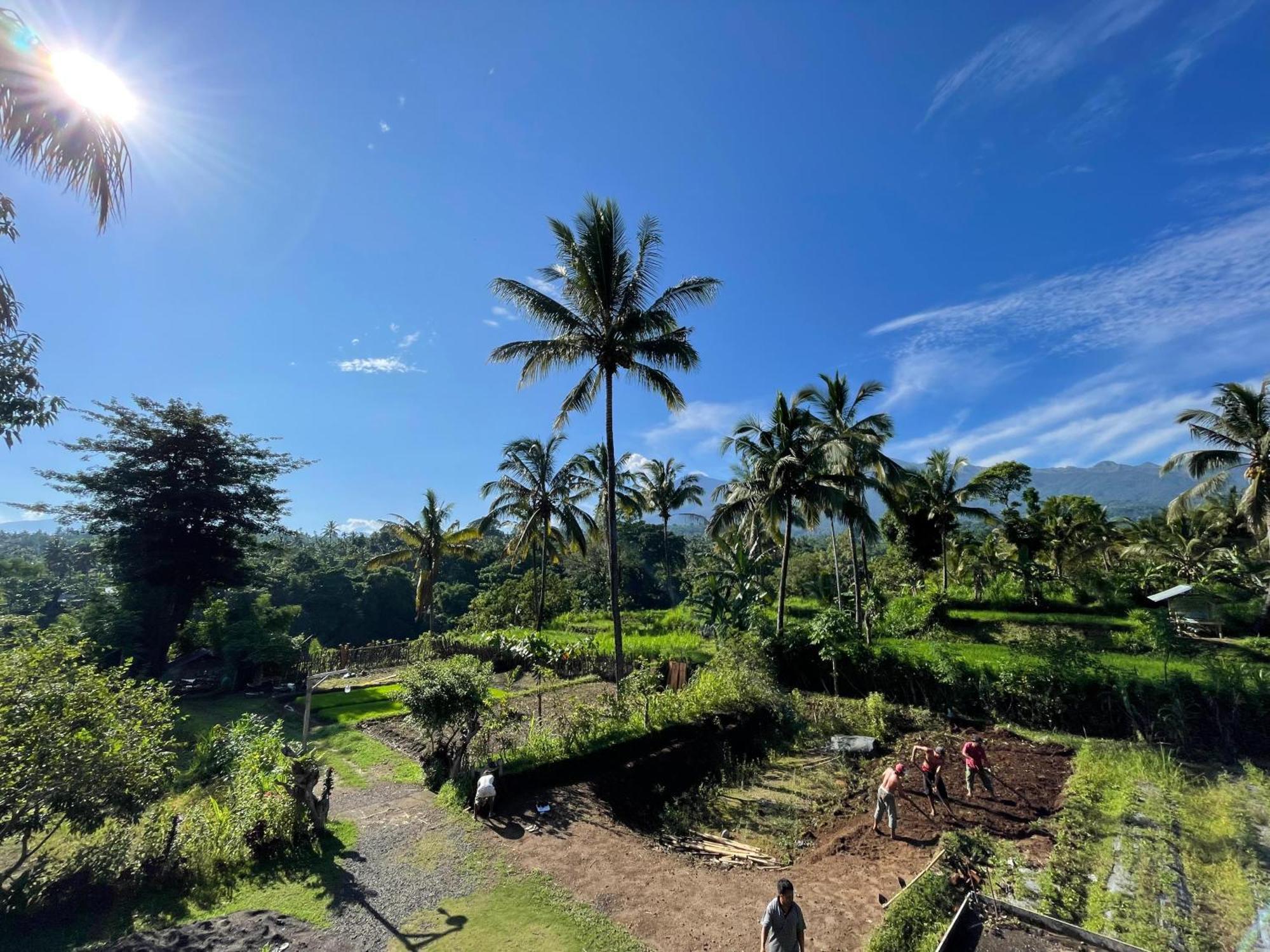 Rinjani Eco Villa Senaru Bayan Dış mekan fotoğraf
