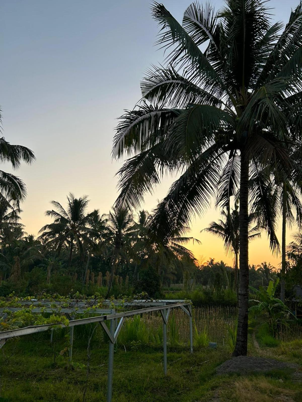 Rinjani Eco Villa Senaru Bayan Dış mekan fotoğraf