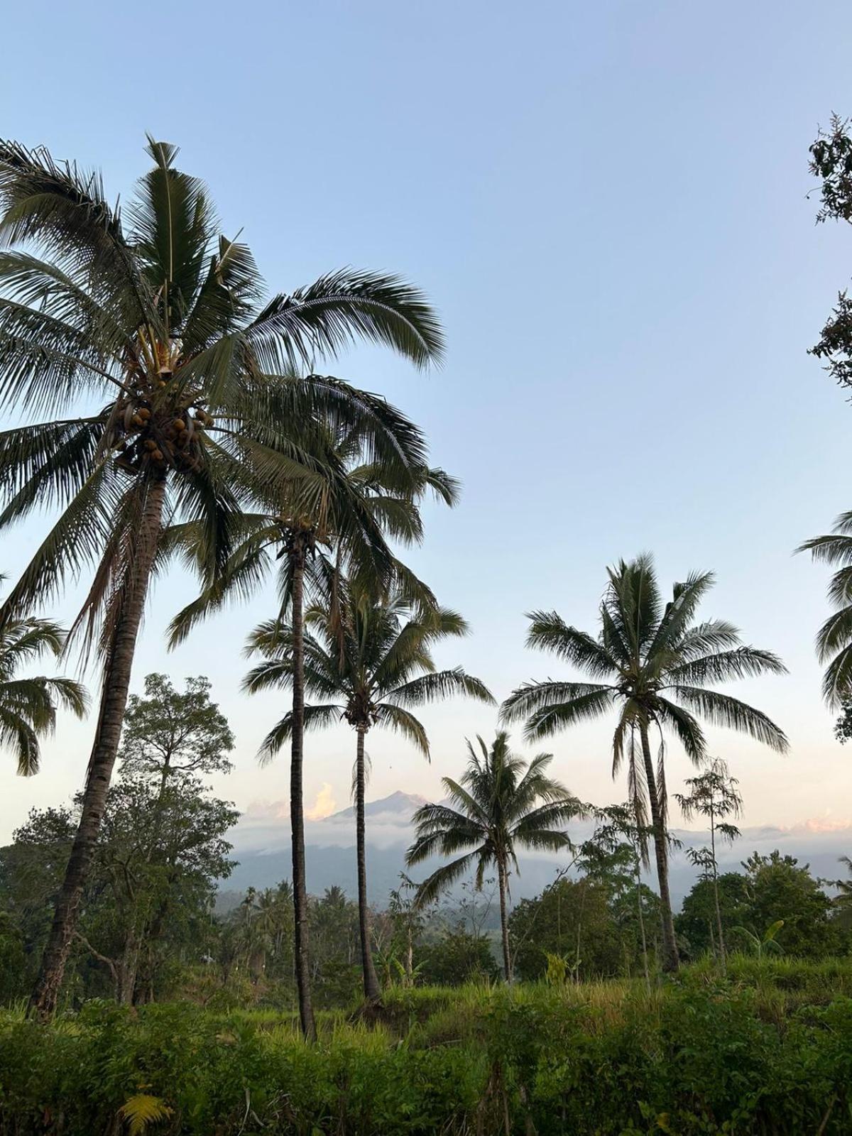 Rinjani Eco Villa Senaru Bayan Dış mekan fotoğraf